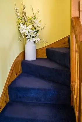 Apart Daire, 1 Büyük (Queen) Boy Yatak ve Çekyat