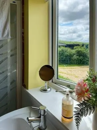 Apart Daire, 1 Büyük (Queen) Boy Yatak ve Çekyat