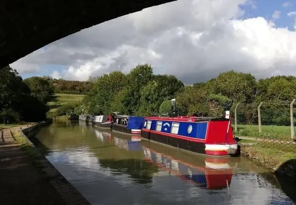 Apart Daire, 1 Büyük (Queen) Boy Yatak ve Çekyat