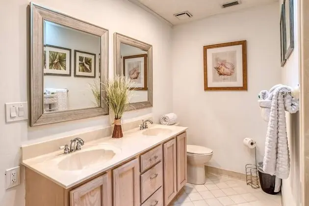 Ev (Sunshine Daydream)