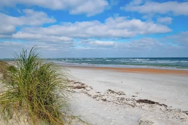 Ev (Sunshine Daydream)