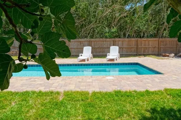 Ev (Sunshine Daydream)