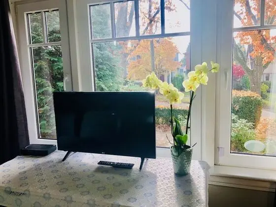 Standard Dört Kişilik Oda, Birden Çok Yatak, Sigara İçilmez, Bahçe Manzaralı