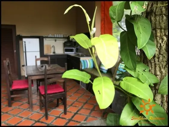 Studio Double Villa