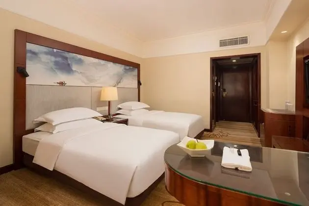 Deluxe Oda, Şehir Manzaralı