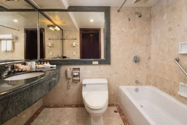 Deluxe Oda, Şehir Manzaralı