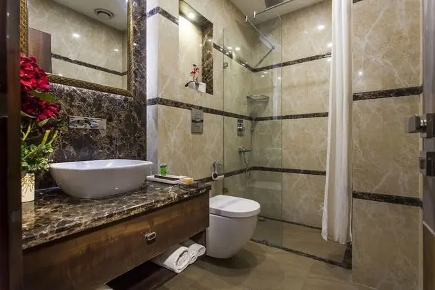 Deluxe Oda, 1 Çift Kişilik Yatak, Penceresiz