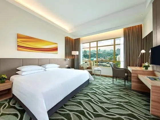Deluxe Oda (Plus Executive Park)