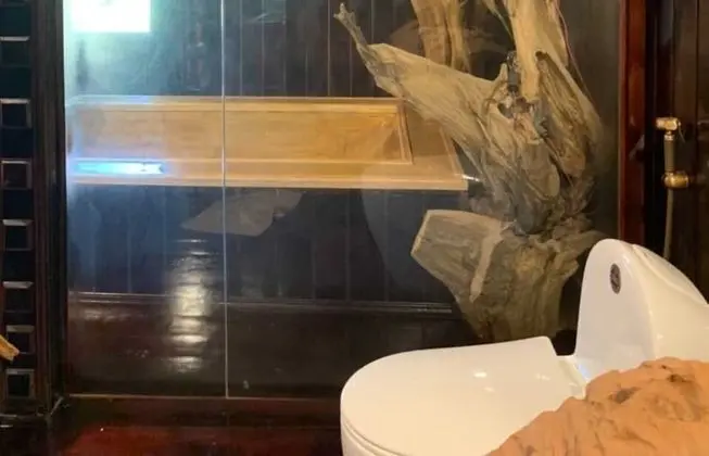 Classic Büyük Yataklı Tek Kişilik Oda, Sigara İçilmez, Dağ Manzaralı