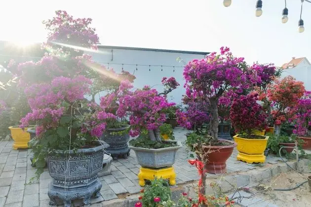 Tek Büyük Yataklı Oda, 1 Çift Kişilik Yatak, Bahçe Manzaralı