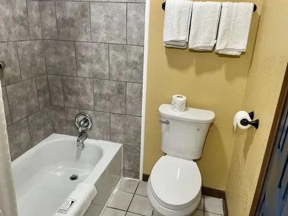 Tek Büyük Yataklı Oda, Sigara İçilebilir, Buzdolabı ve Mikrodalga
