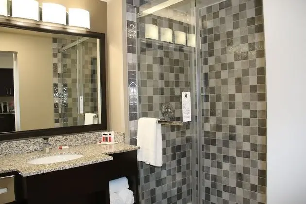 Oda, 2 Büyük (Queen) Boy Yatak, Sigara İçilmez (Deluxe Efficiency Room)