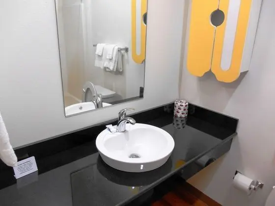 Oda, 1 En Büyük (King) Boy Yatak, Engellilere Uygun, Sigara İçilmez (Roll-In Shower)