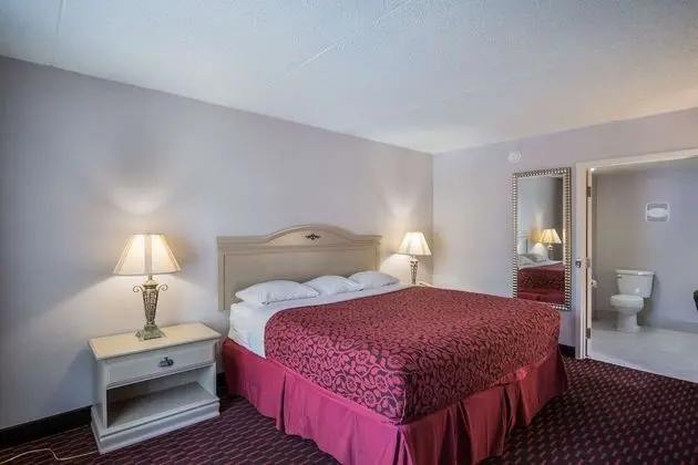 Deluxe Oda, 1 En Büyük (King) Boy Yatak, Sigara İçilmez, Buzdolabı ve Mikrodalga