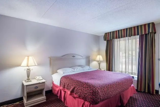 Deluxe Oda, 1 En Büyük (King) Boy Yatak, Sigara İçilmez, Buzdolabı ve Mikrodalga