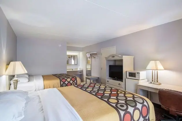 Deluxe Oda, 2 Büyük (Queen) Boy Yatak, Sigara İçilmez, Buzdolabı ve Mikrodalga