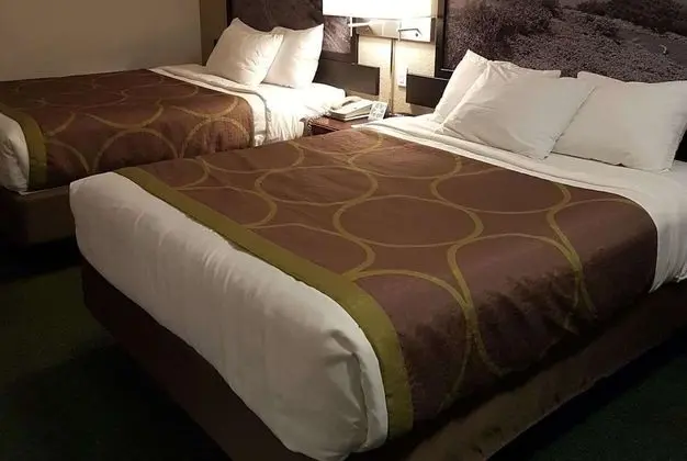 Oda, 2 Büyük (Queen) Boy Yatak, Sigara İçilmez (Pet-Friendly)