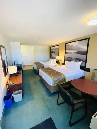 Oda, 2 Büyük (Queen) Boy Yatak, Sigara İçilmez (Pet-Friendly)