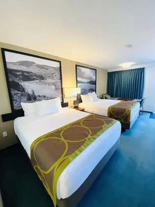 Oda, 2 Büyük (Queen) Boy Yatak, Sigara İçilmez (Pet-Friendly)