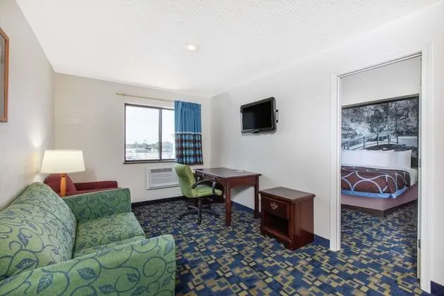 Süit, 1 En Büyük (King) Boy Yatak, Sigara İçilmez (One-Bedroom)