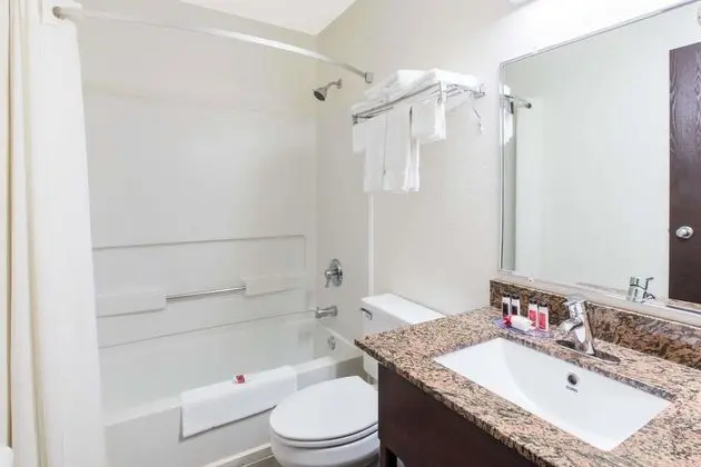 Süit, 1 En Büyük (King) Boy Yatak, Sigara İçilmez (One-Bedroom)