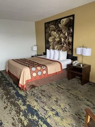 Oda, 1 En Büyük (King) Boy Yatak, Sigara İçilmez (Second Floor)