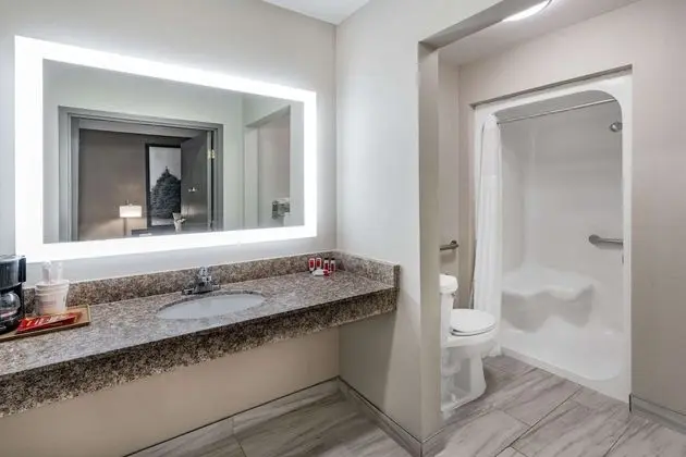 Oda, 1 Büyük (Queen) Boy Yatak, Engellilere Uygun, Sigara İçilmez (Mobility/Roll-In Shower)
