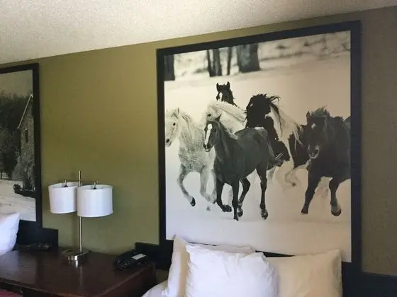 Tek Büyük Yataklı Oda, 2 Çift Kişilik Yatak