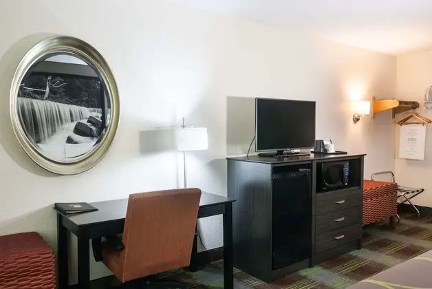 Stüdyo Süit, 1 En Büyük (King) Boy Yatak, Sigara İçilmez