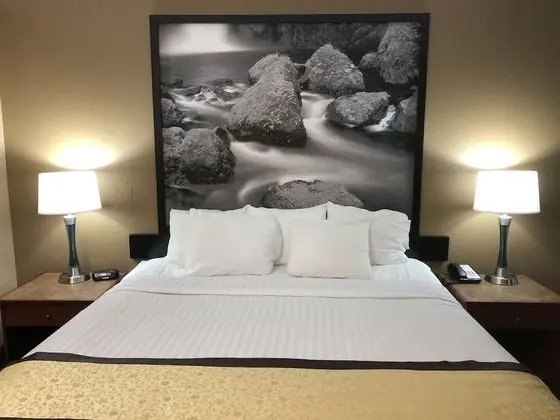 Stüdyo Süit, Birden Çok Yatak, Sigara İçilmez