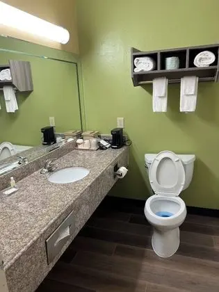 Standard Oda, 1 En Büyük (King) Boy Yatak, Sigara İçilmez (Dog-Friendly)