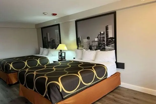 Deluxe Stüdyo, 2 Büyük (Queen) Boy Yatak, Sigara İçilmez