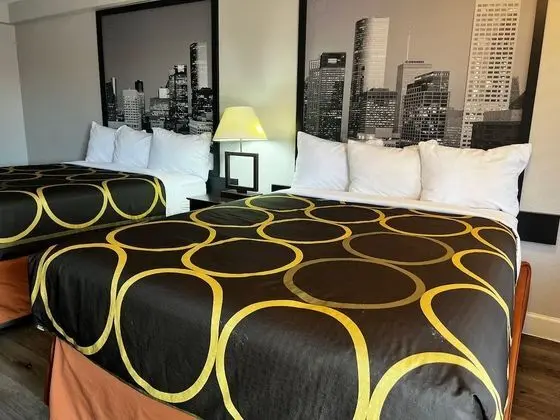 Deluxe Stüdyo, 2 Büyük (Queen) Boy Yatak, Sigara İçilmez