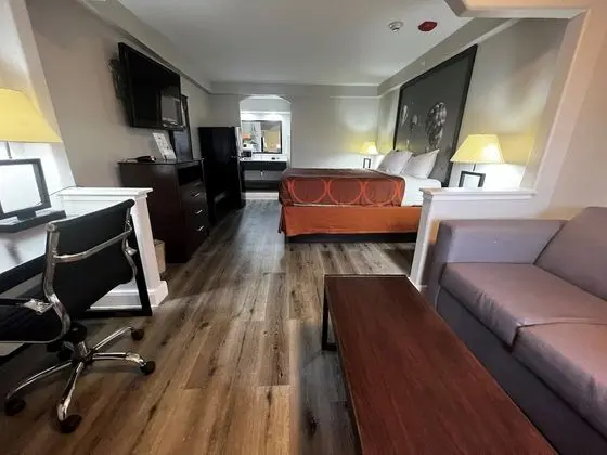 Deluxe Stüdyo Süit, 1 En Büyük (King) Boy Yatak, Sigara İçilmez