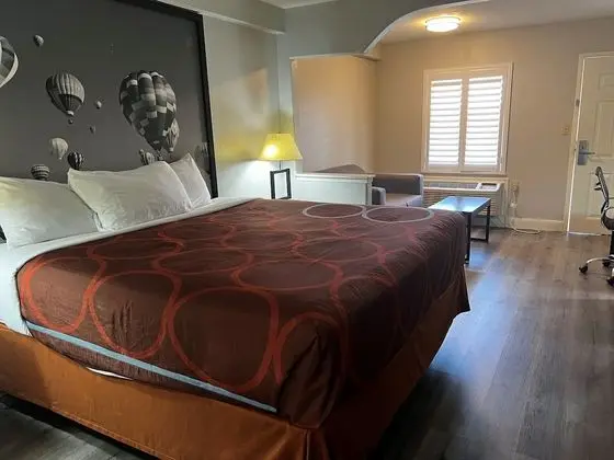 Deluxe Stüdyo Süit, 1 En Büyük (King) Boy Yatak, Sigara İçilmez