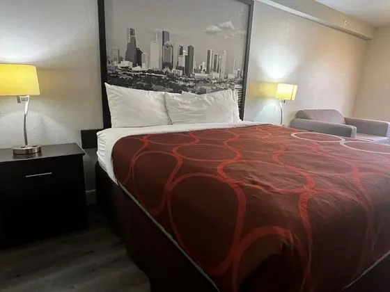 Deluxe Stüdyo Süit, 1 En Büyük (King) Boy Yatak, Sigara İçilmez