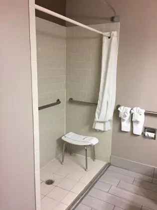 Oda, 1 En Büyük (King) Boy Yatak, Engellilere Uygun (Hearing, Mobility Roll-In Shower)