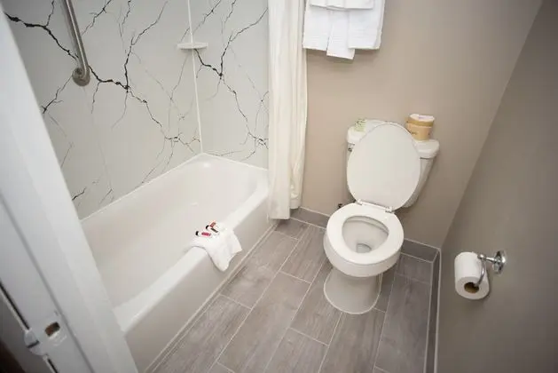 Oda, 1 En Büyük (King) Boy Yatak, Engellilere Uygun, Sigara İçilmez (Mobility Accessible)