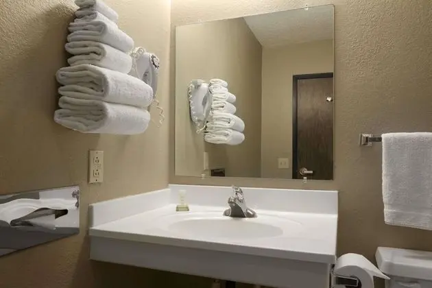 Oda, 1 Büyük (Queen) Boy Yatak, Engellilere Uygun, Sigara İçilmez (Mobility, Bathtub w/Grab Bars)