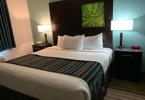 Deluxe Stüdyo Süit, 1 En Büyük (King) Boy Yatak, Sigara İçilmez