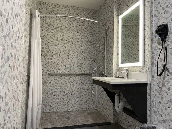 Oda, 1 En Büyük (King) Boy Yatak, Engellilere Uygun, Sigara İçilmez (Roll-In Shower)