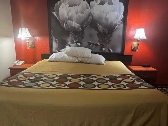 Deluxe Oda, 1 En Büyük (King) Boy Yatak, Engellilere Uygun, Sigara İçilmez (Mobility,Roll-In Shower)