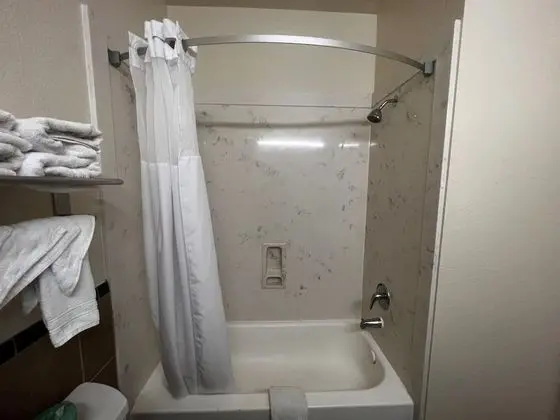 Deluxe Oda, 1 En Büyük (King) Boy Yatak, Engellilere Uygun, Sigara İçilmez (Mobility,Roll-In Shower)