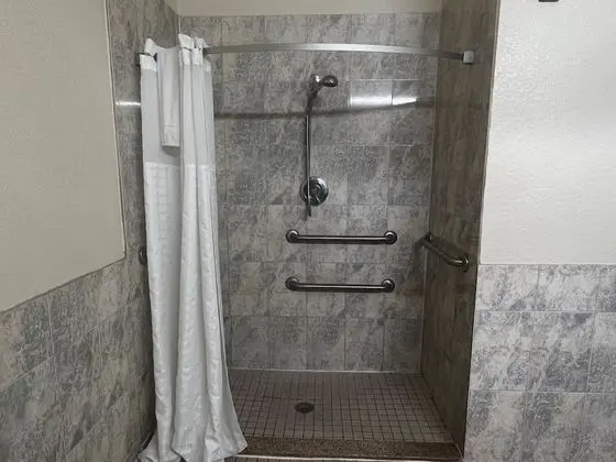 Deluxe Oda, 1 En Büyük (King) Boy Yatak, Engellilere Uygun, Sigara İçilmez (Mobility,Roll-In Shower)