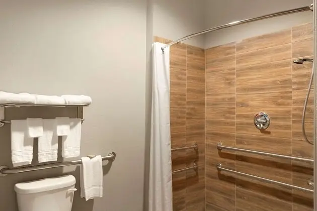 Deluxe Süit, 1 Çift Kişilik Yatak, Engellilere Uygun (Mobility,Hearing,Roll-In Shower)