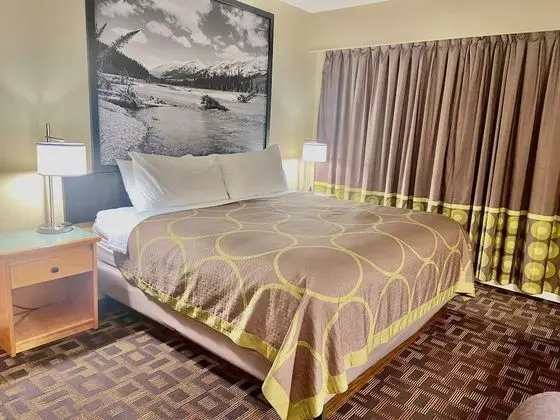 Oda, 1 En Büyük (King) Boy Yatak, Sigara İçilmez (Pet-Friendly)