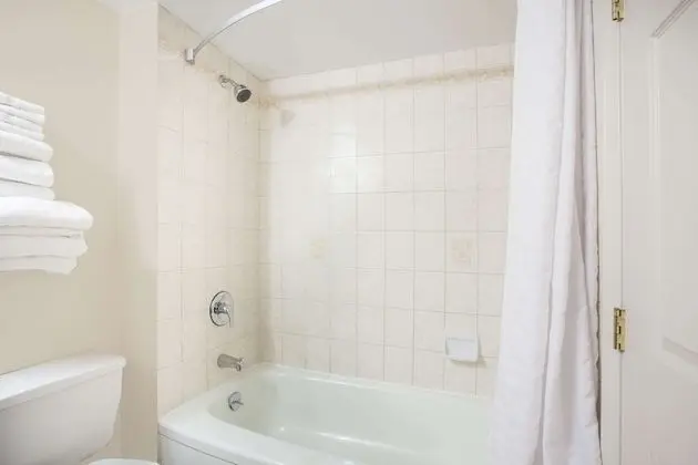 Oda, 2 Büyük (Queen) Boy Yatak, Sigara İçilmez (Pet-Friendly)