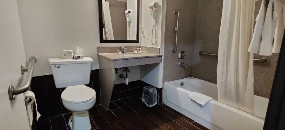 Oda, 1 Büyük (Queen) Boy Yatak, Sigara İçilmez (Mobility Accessible)