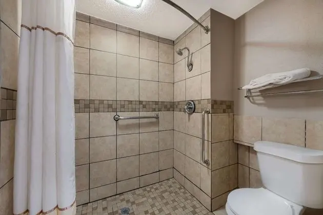 Standard Oda, 1 Çift Kişilik Yatak, Engellilere Uygun, Sigara İçilmez (Roll-In Shower)
