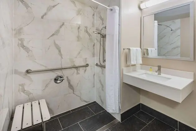 Oda, 1 En Büyük (King) Boy Yatak, Engellilere Uygun, Sigara İçilmez (Roll-In Shower)